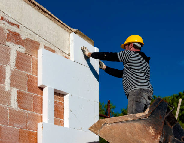 Insulation Repair Services in Heritage Pines, FL