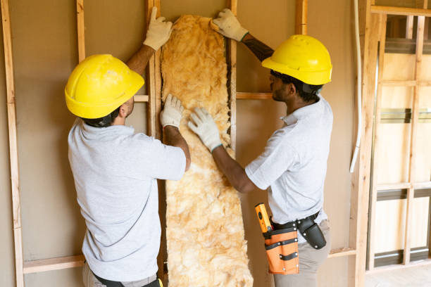 Best Local Insulation Services  in Heritage Pines, FL